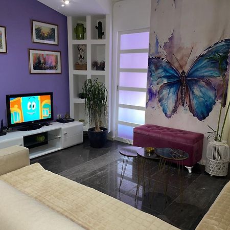 Apartmán Dorotea Butterfly Budva Exteriér fotografie