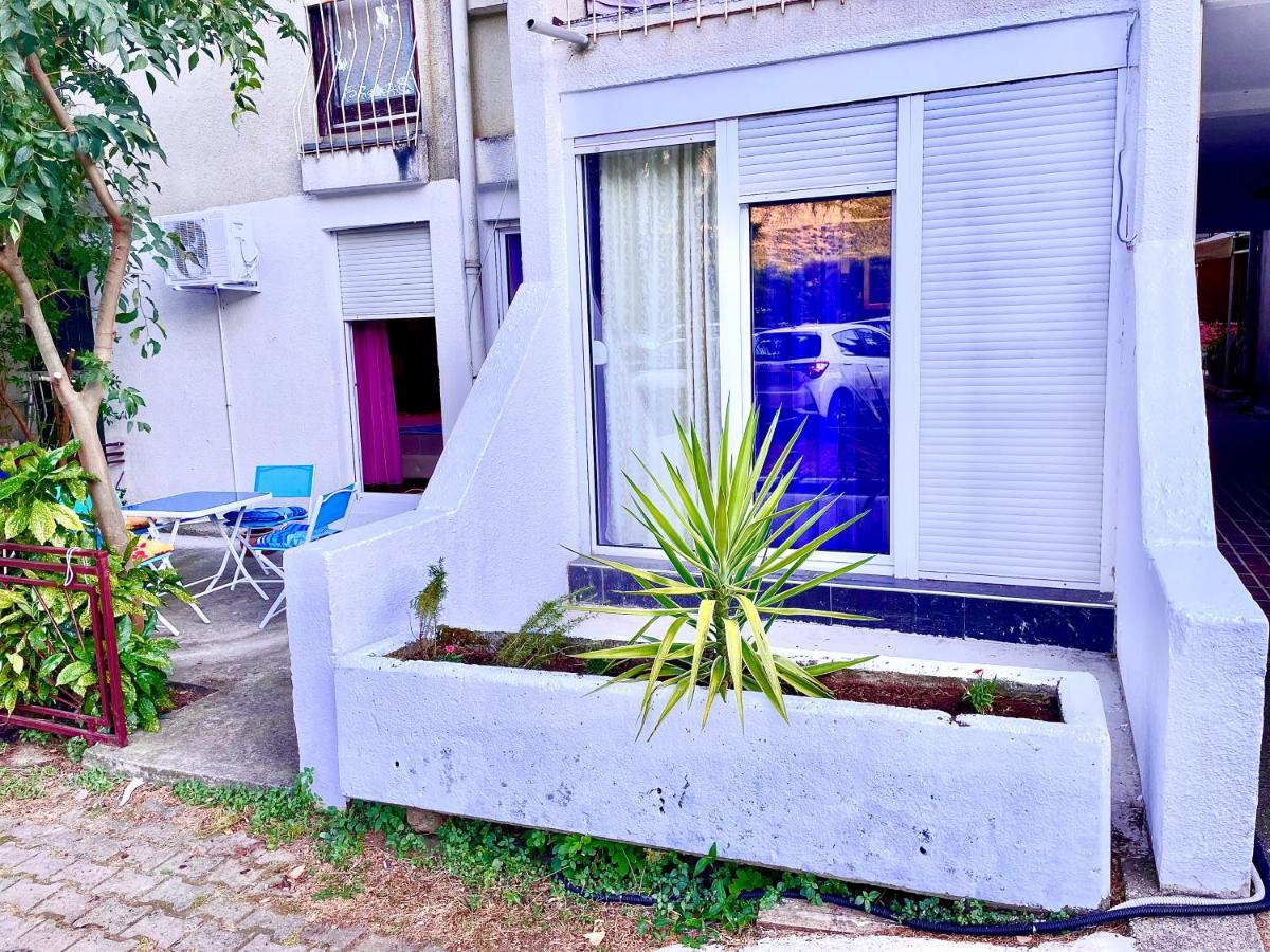 Apartmán Dorotea Butterfly Budva Exteriér fotografie