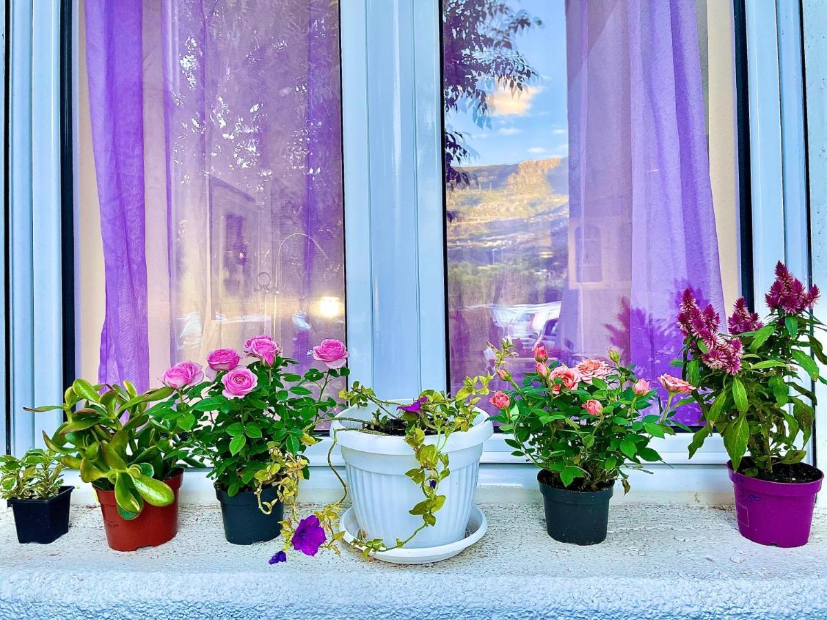 Apartmán Dorotea Butterfly Budva Exteriér fotografie