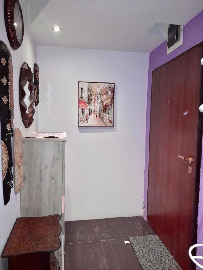 Apartmán Dorotea Butterfly Budva Exteriér fotografie