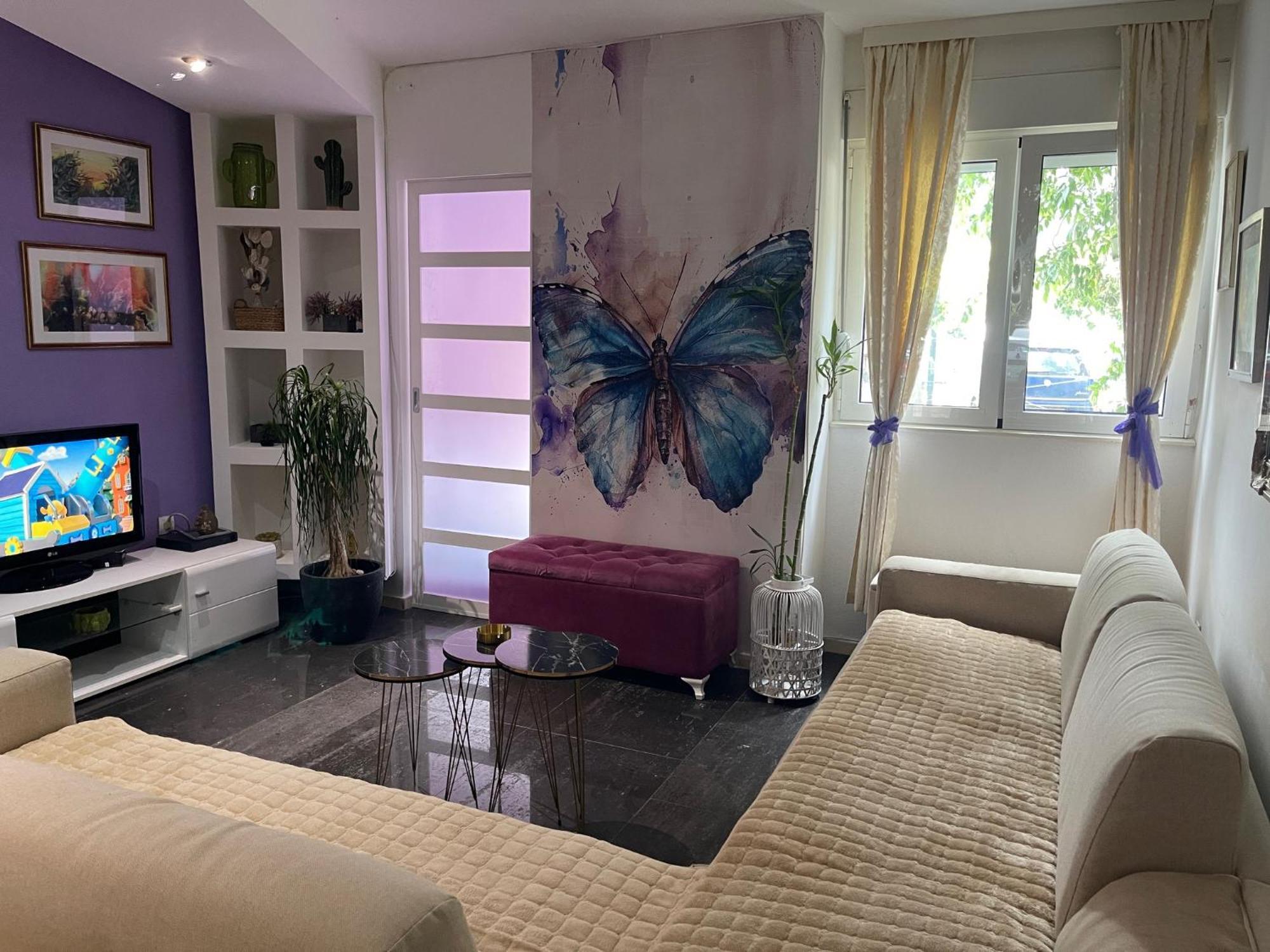 Apartmán Dorotea Butterfly Budva Exteriér fotografie